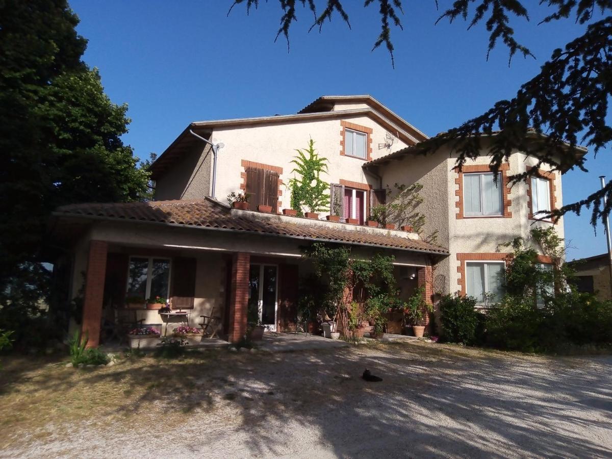B&B La Gallinella Rossa Baschi Exterior foto